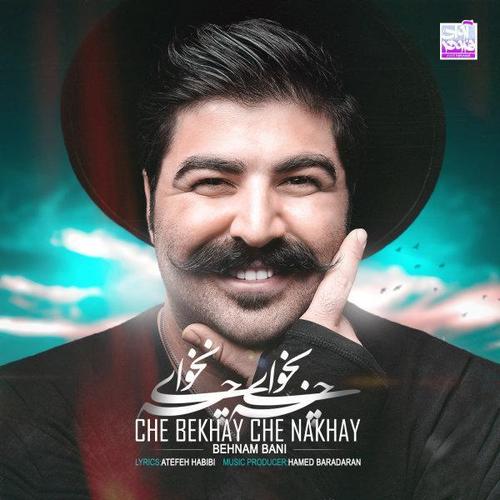 آهنگ بی کلام چه بخوای چه نخوای از بهنام بانی